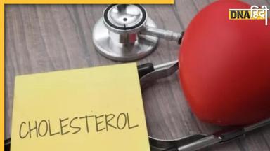 Foods For Cholesterol: हाई कोलेस्ट्रॉल से हैं परेशान तो थाली में शामिल कर लें ये 5 फूड्स, साफ हो जाएंगी नसें, हार्ट भी रहेगा कूल