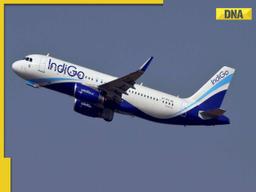 'Jobs are at...':  Passengers stranded at Mumbai airport as IndiGo flight to Qatar...