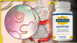 Levitox Reviews: An In-Depth Analysis of Ingredients, Efficacy, and Safety Concerns for Parasite Removal