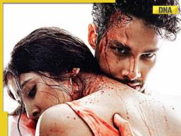 'Totally different animal...': Siddhant Chaturvedi says no Indian action film is in 'same zone' as Yudhra: | Exclusive