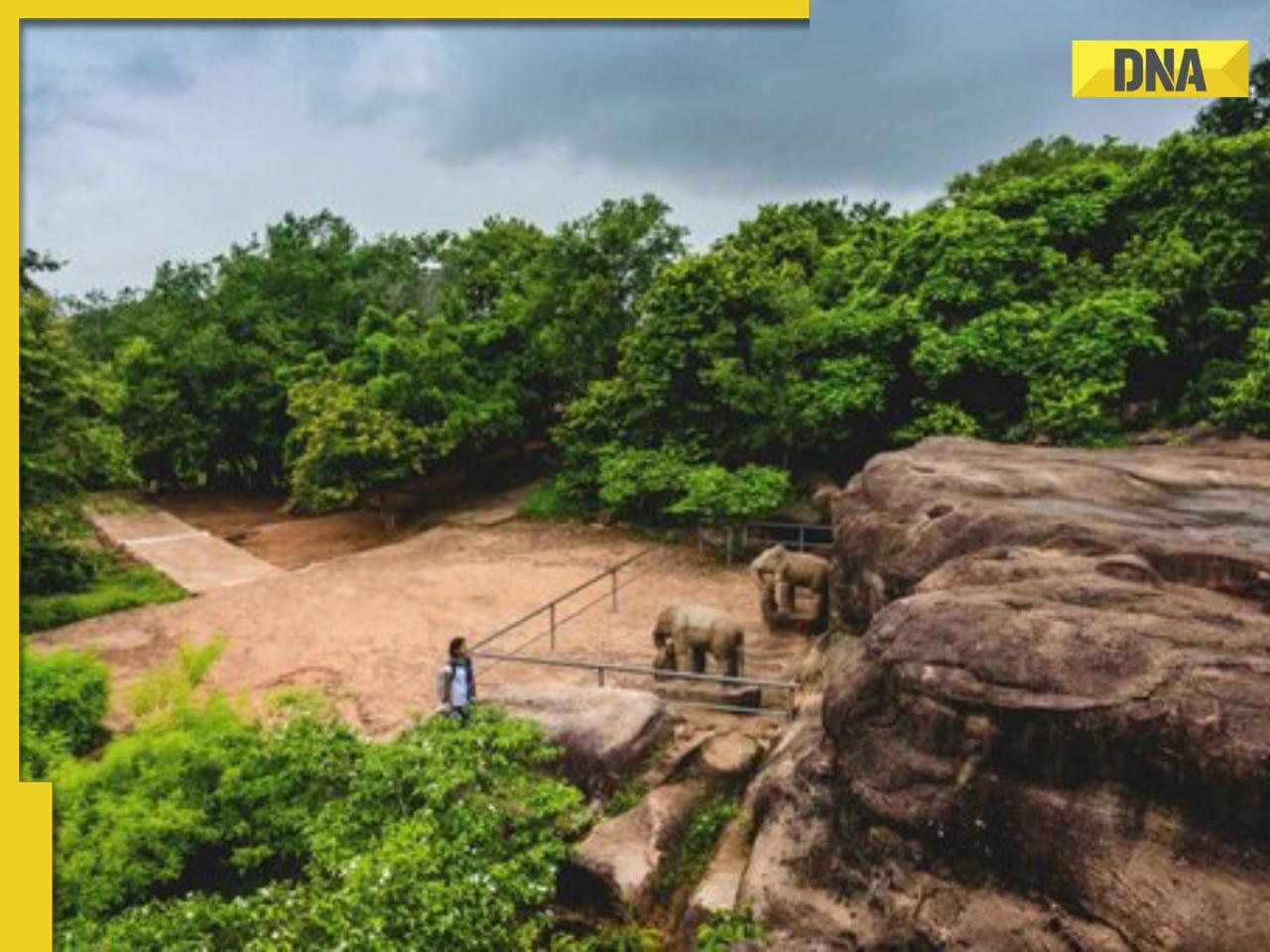 From Simlipal National Park to Mahendragiri: Top 6 hidden gems to discover in Odisha