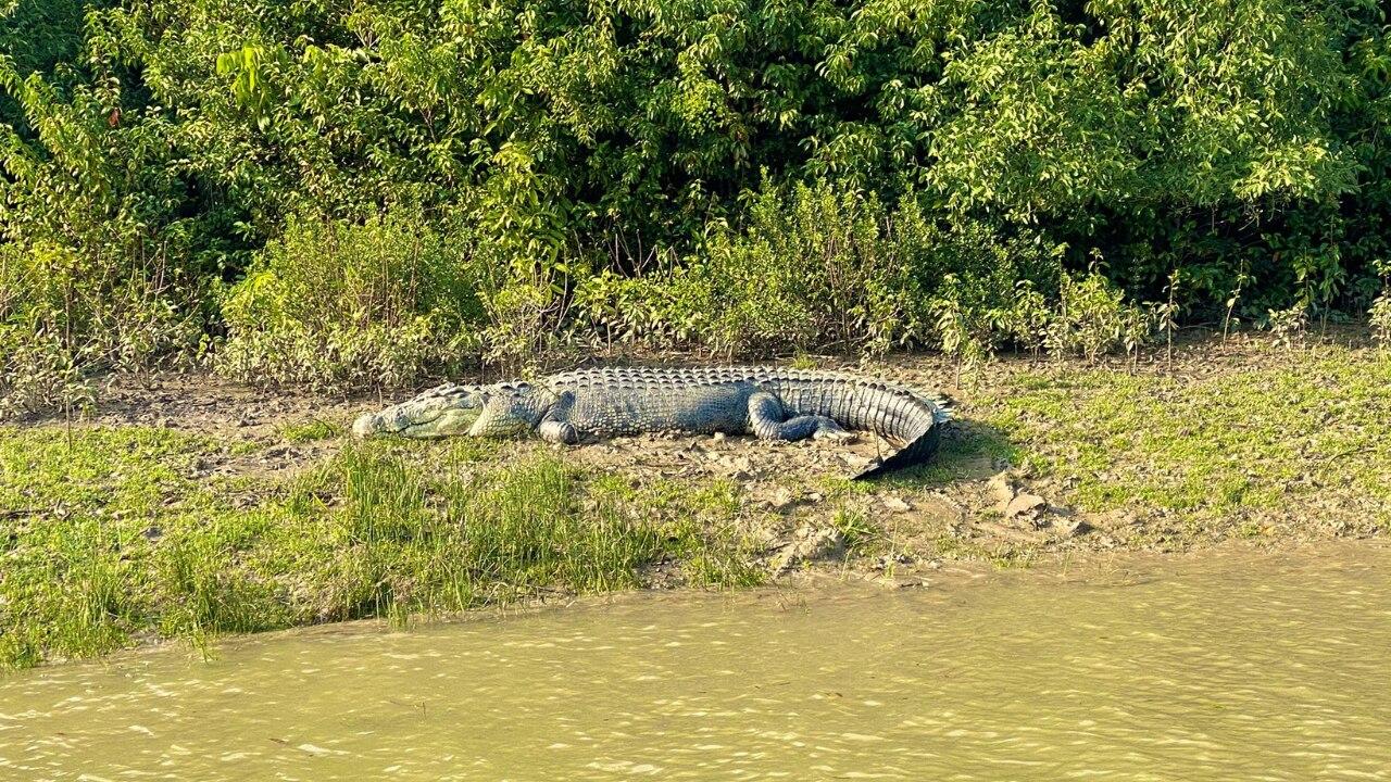 Bhitarkanika National Park