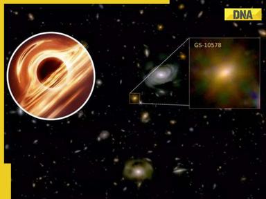 NASA's James Webb unveils black hole starving its host galaxy; see pic