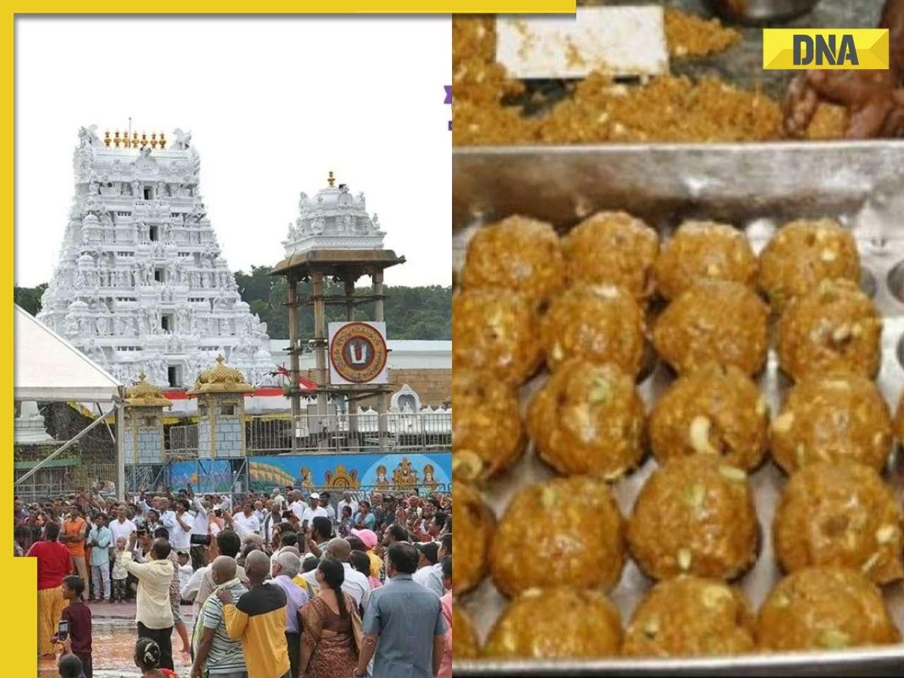 DNA TV Show: Row over fat-containing laddus in Tirupati Temple