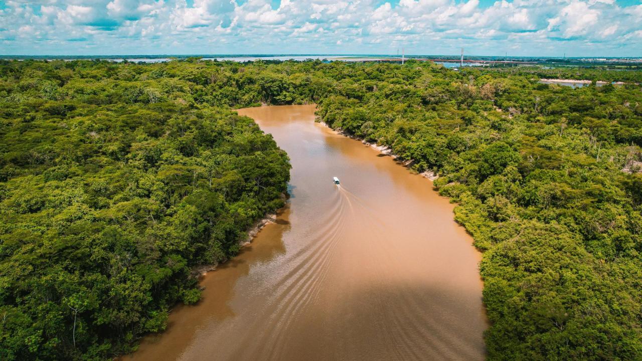 AMAZON RIVER के साथ क्या हो रहा है?