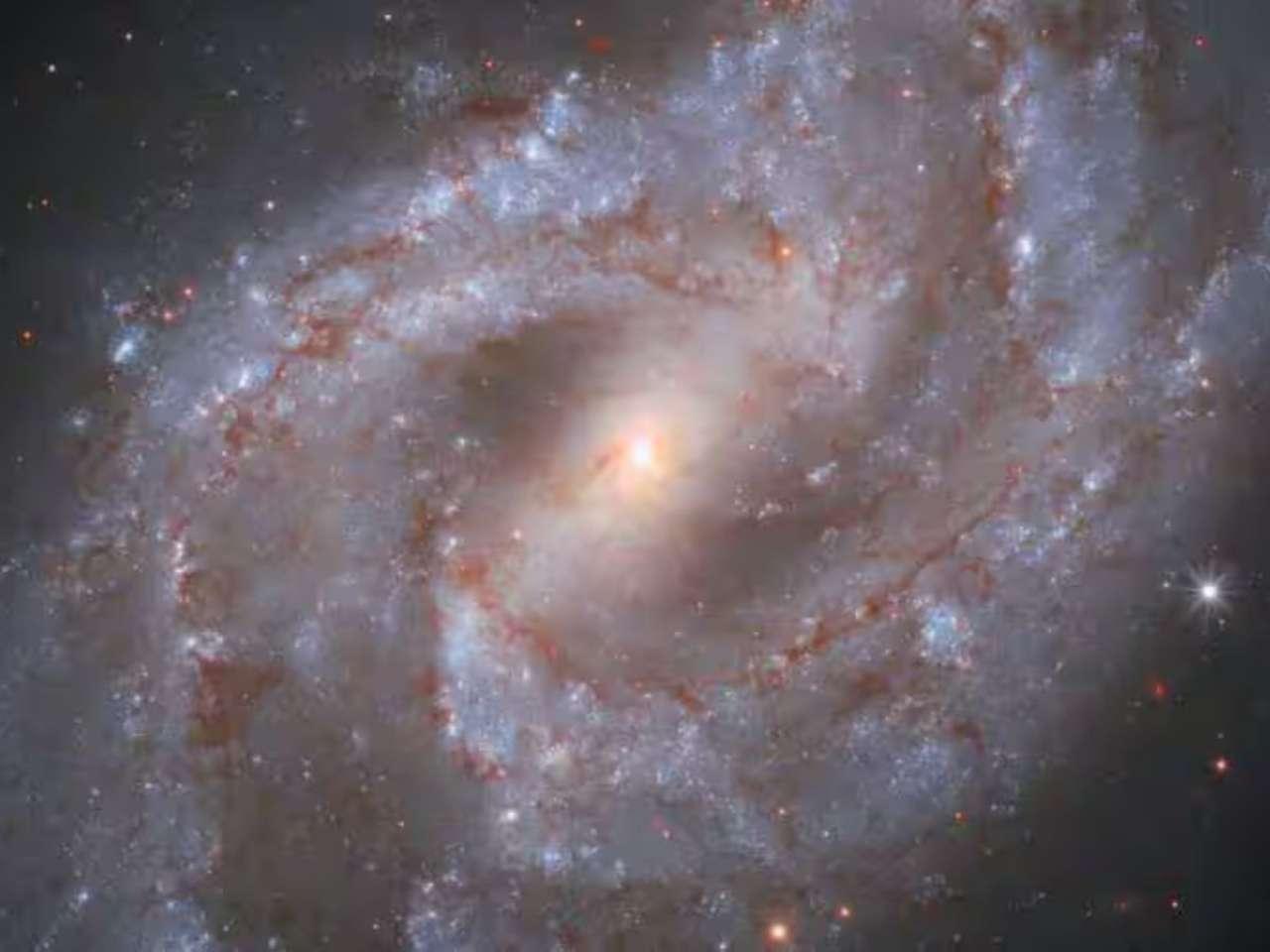 Galaxy NGC 2525