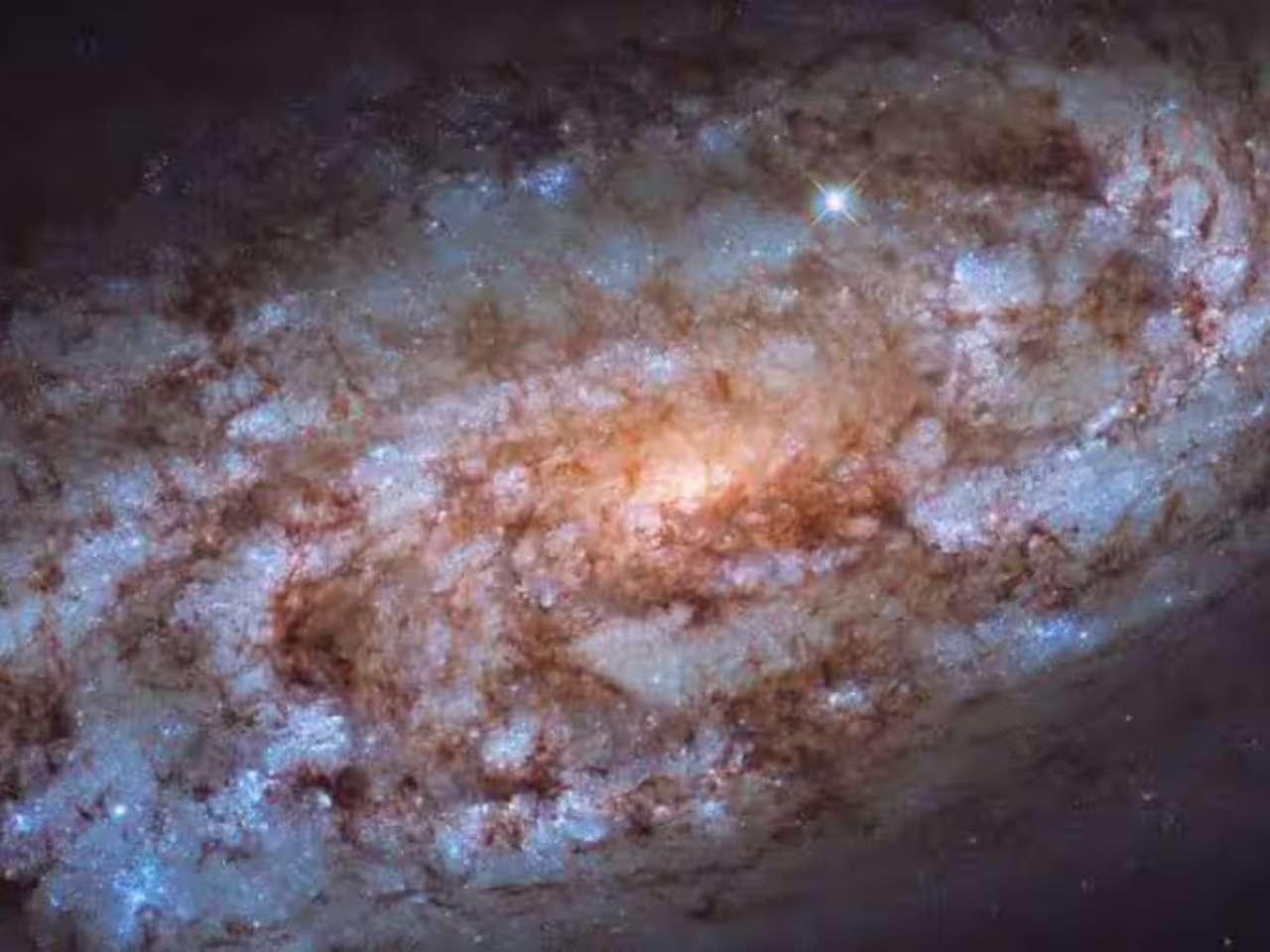 Galaxy NGC 1792