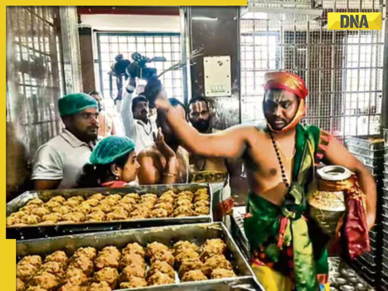 Tirupati laddoo row: Notice to ghee supplier; purification ritual at temple; more PILs filed