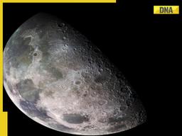 Earth's 'mini-moon' to be visible from..., here's how you can watch it 