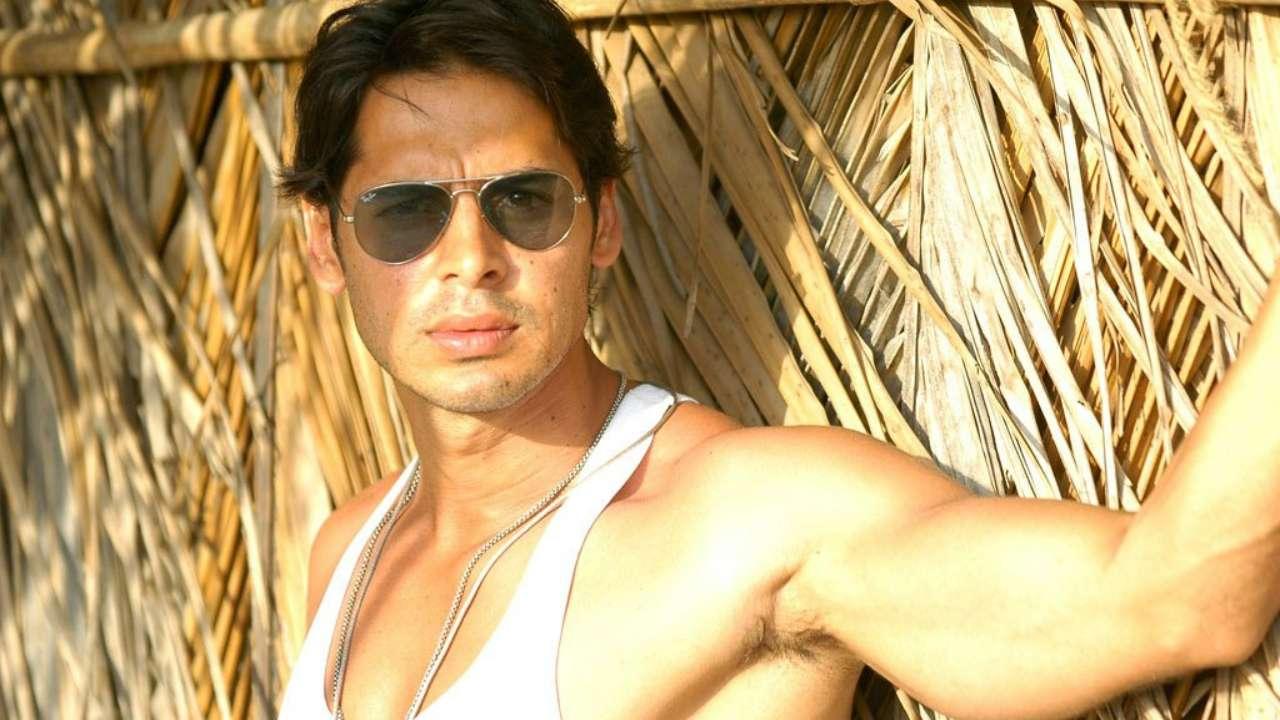 Dino Morea's Bollywood journey