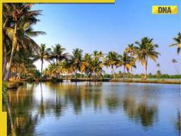 From Puthuvype Beach to Kumbalangi Village: 6 must-visit hidden gems in Kochi