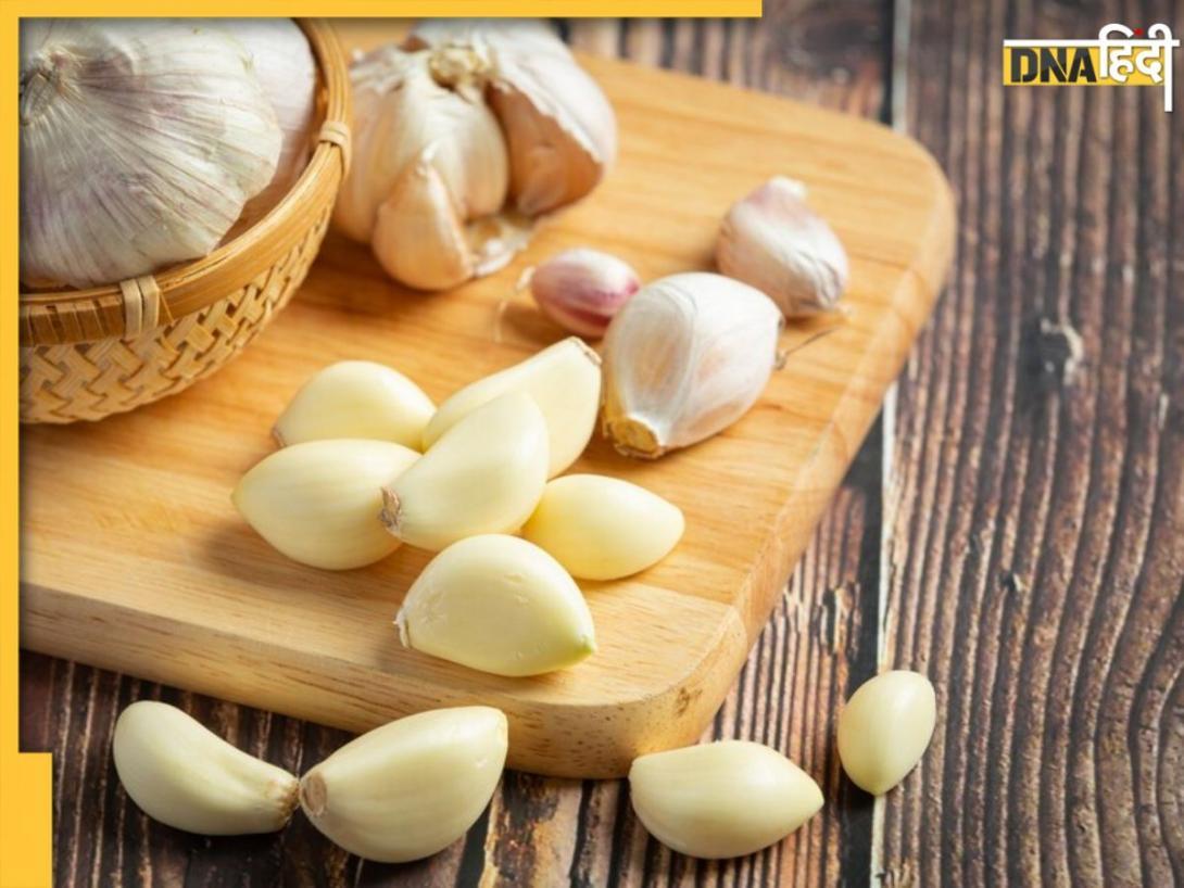 Garlic Side Effects: खाने में जरूरत से ज्यादा लहसुन के इस्तेमाल से बढ़ता है इन बीमारियों का खतरा, तुरंत कर दें कम