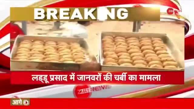 Tirupati Laddu विवाद पर सरकार का ऐलान | Animal Fat Prasadam | Breaking News