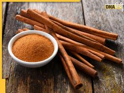 Cinnamon Benefits: इस भूरे मसाले की 1 चम्मच डायबिटीज से लेकर इंफेक्शन तक की कर देगी छुट्टी, खाते ही दिखेगा असर